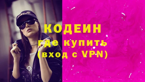 прущие грибы Аркадак