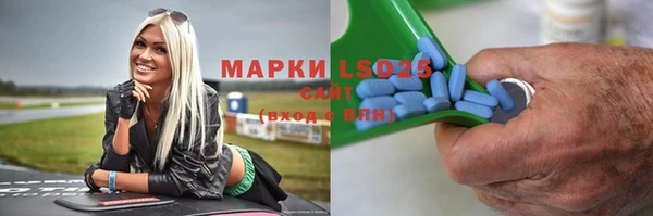 прущие грибы Аркадак