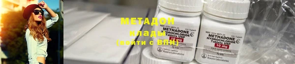 прущие грибы Аркадак