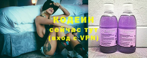 прущие грибы Аркадак