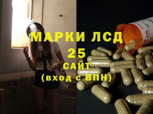 прущие грибы Аркадак