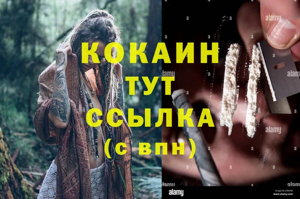 тгк Арсеньев