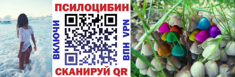 Галлюциногенные грибы MAGIC MUSHROOMS  Белёв 