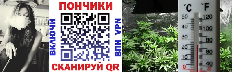 Бошки Шишки Ganja  как найти   мориарти телеграм  Белёв 